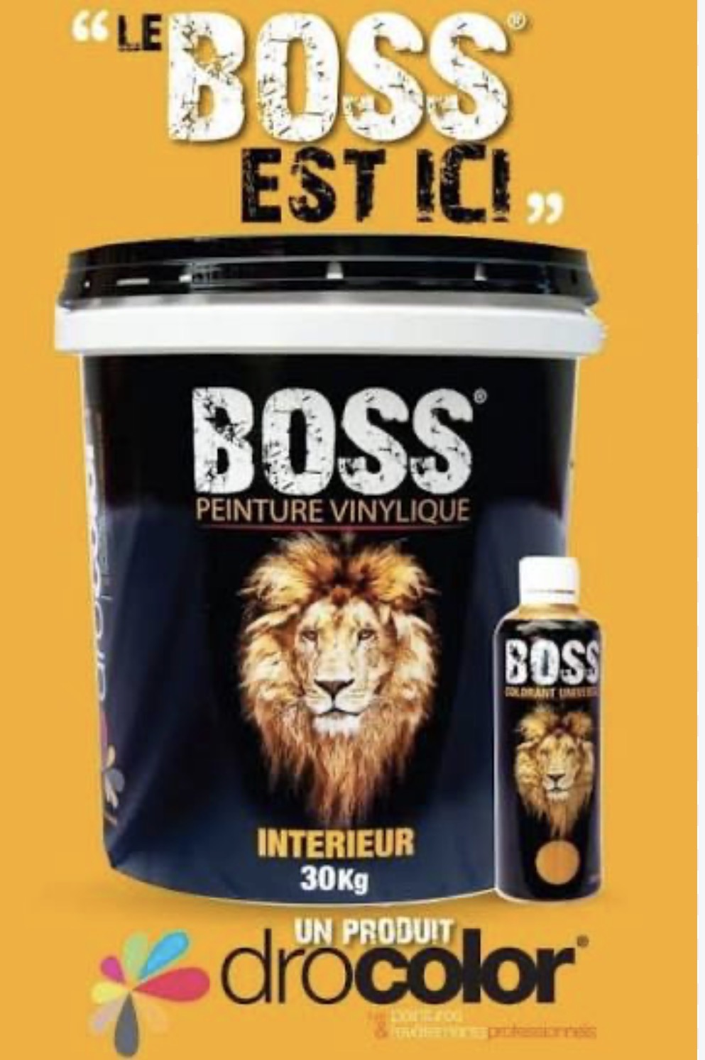 Peinture boss 30kg